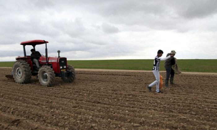 Genç Çiftçi Desteği İçin Son Gün 30 Nisan