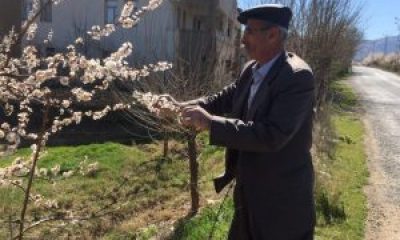 TARSİM:ÇİFTCİMİZ BAŞIMIZIN TACI