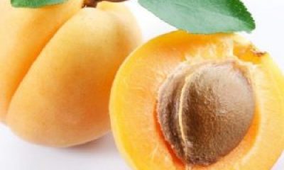 SAĞLIKLI SİNDİRİM İÇİN KAYISI SUYU