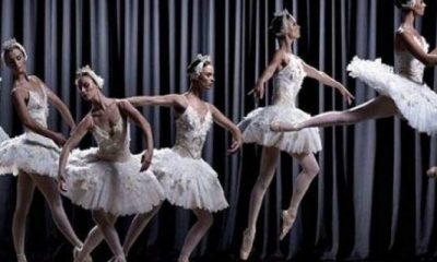 Opera, Bale, Orkestra, Koro ve Topluluklar