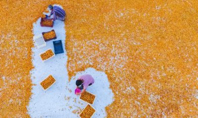 KAYISI SEZONUYLA BİRLİKTE ARTAN SU TÜKETİMİNE EK TEDBİRLER