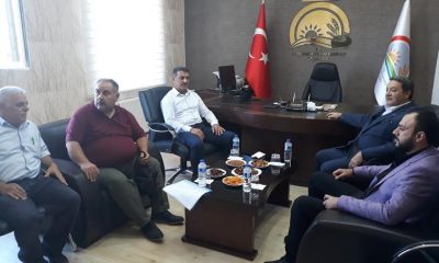 2019 ‘Dünya Kayısı Sempozyumu Malatya’da yapılacak