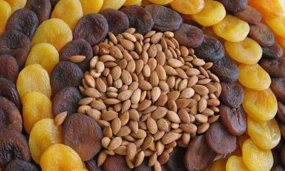 Malatya Kayısı’sının Faydaları Saymakla Bitmiyor