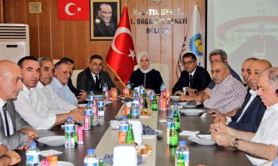 MALATYA SANAYİ ŞEHRİ OLSUN VE BÜYÜSÜN”