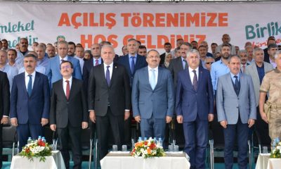 Hayvana merhameti olmayanın hiçbir şeye merhameti olmuyor