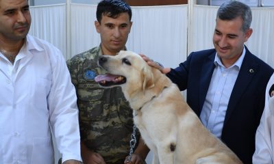 HAYVANLARI KORUYALIM, SEVELİM, SAHİP ÇIKALIM”