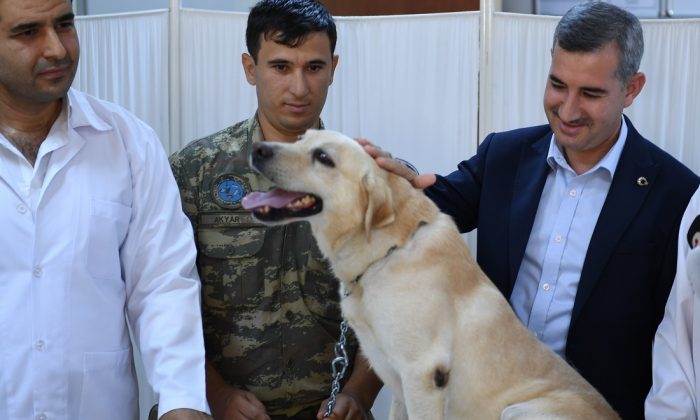 HAYVANLARI KORUYALIM, SEVELİM, SAHİP ÇIKALIM”