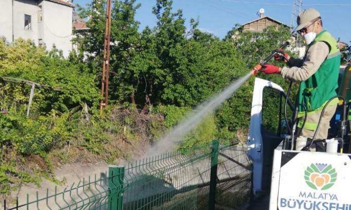 Haşereyle Mücadele Yoğun Bir Şekilde Devam Ediyor