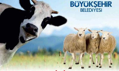 BÜYÜKŞEHİR KURBAN KESİM KURSU DÜZENLEDİ