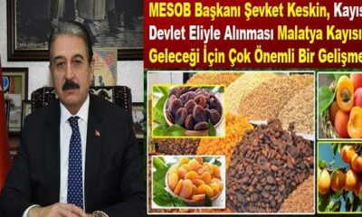 Keskin: Kayısı Ticaretindeki İstikrar İçin Önemli Bir Adım