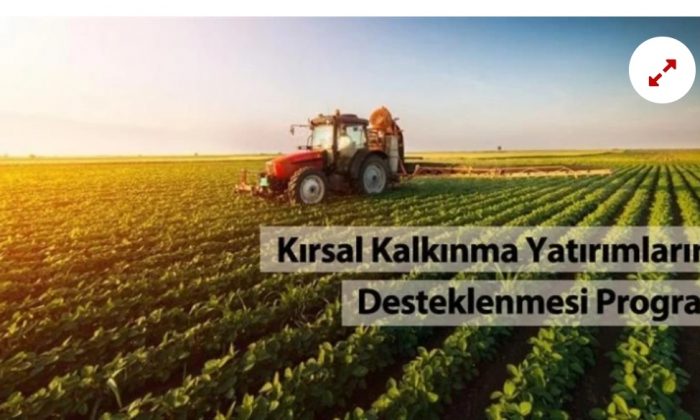 Kırsal Kalkınma Destekleri Kapsamında Tarıma Dayalı Ekonomik Yatırımların Desteklenmesi