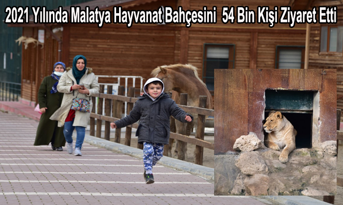 Malatya Hayvanat Bahçesinde 78 Türden 1.315 Hayvan Bulunuyor