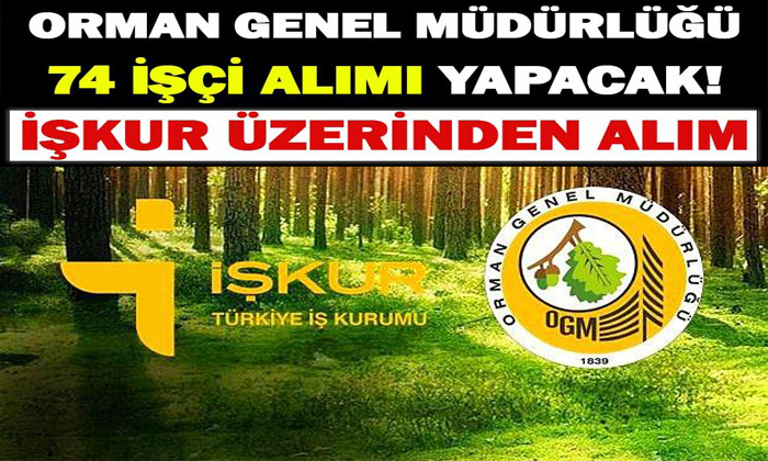 Orman Genel Müdürlüğü 44 Engelli ve 30 Eski Hükümlü/TMY Daimi İşçi Alacak