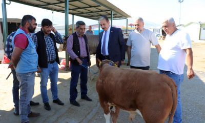 Keskin, “Halkımız Kurbanını Marketlerde Değil, Yetiştiriciden ve Köylüden Alsın”