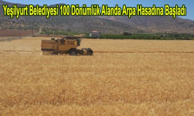 Yeşilyurt Belediyesi Tarımsal Üretim Ve Ar-Ge Sahasında Arpa Üretimi Hız Kazandı