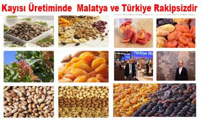 2023 Kuru Meyve İçin Tanıtım Yılı Olacak. Kuru Kayısı Ve Antep Fıstığı Üretiminde Türkiye Rakipsiz