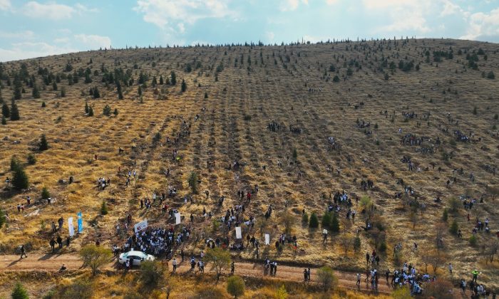 Cumhuriyetin 100. Yılı Anısına 1923 Öğrenci, 1923 Adet Fidan Dikimi Gerçekleştirdi
