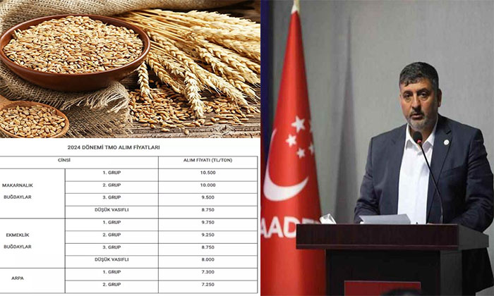 Saadet Partisi Malatya İl Başkanı Mustafa Canbay, Buğday  Alım Fiyatlarına Tepki Gösterdi