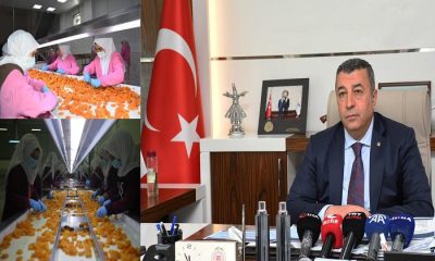 6 Ayda 50 Bin Ton Kuru Kayısı İhracatına Karşılık 240 Milyon 57 Bin Dolar Gelir Elde Edildi