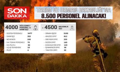 Tarım ve Orman Bakanlığı 8500 İşçi ve Personel Alımı Yapacak