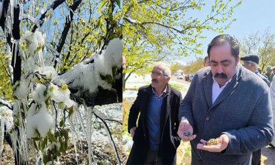 Zirai Dondan Etkilenen Çiftçiler, Malatya’nın “Afet Bölgesi” İlan Edilmesini Talep Etti