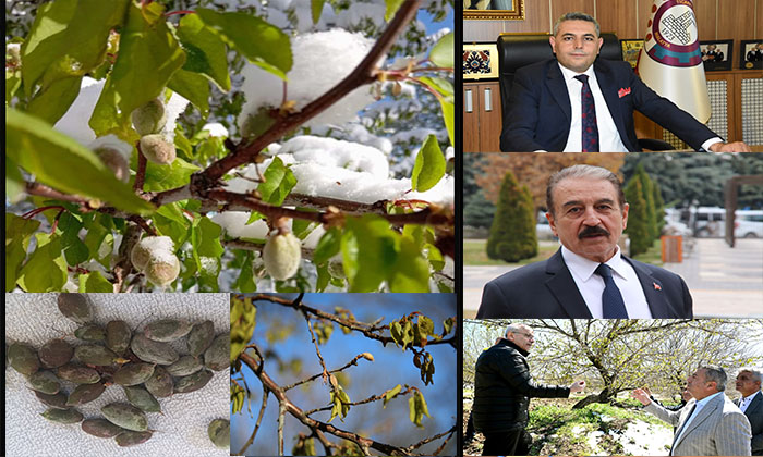Zirai Don Sonrası Acilen Malatya’nın Afet Bölgesi İlan Edilmesi Talebinde Bulunuldu