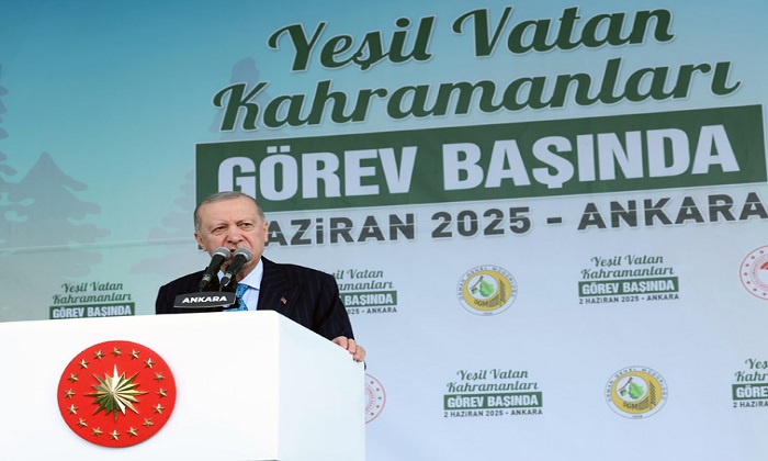 Cumhurbaşkanı Erdoğan, Açık Alanda Ateş Yakmak Orman Yangınlarına Davetiye Çıkartıyor
