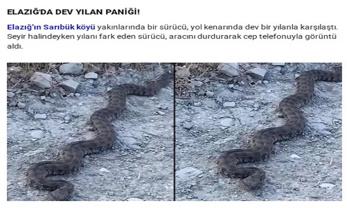 Malatya, Elazığ, Tunceli, Bingöl ve Diyarbakır İçin 2 Metrelik Yılan Uyarısı Yapıldı