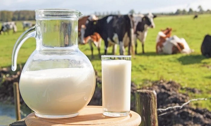Ticaret Bakanlığı, Haksız Fiyatlandırma Yapan Süt Şirketlerine 58,3 Milyon Türk Lirası Ceza Uyguladı