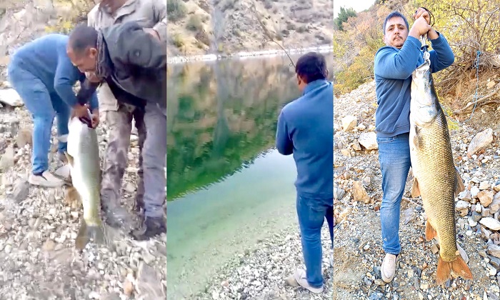 Amatör Balıkçılar Doğanyol Konurtay’da Barajdan 33 Kiloya Yakın Balık Yakaladı